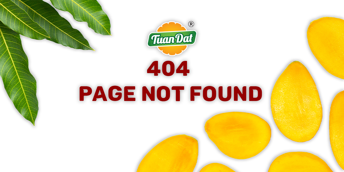 404 Error